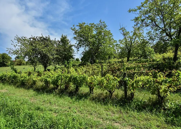 Loubejac Garden Escape Dom wakacyjny *